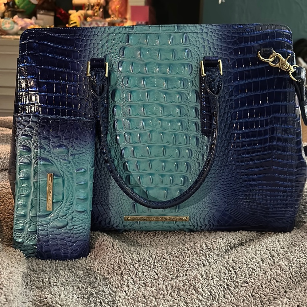 Brahmin Bag with Matching Wallet